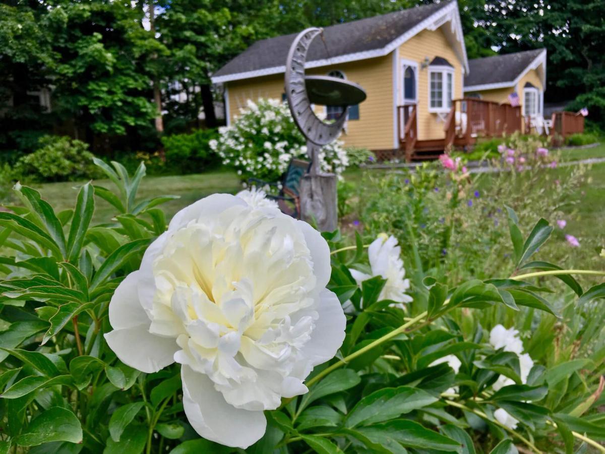 Sand Bar Cottage Inn Bar Harbor Eksteriør billede
